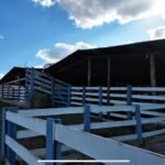 Fazenda à Venda em Silvânia/GO WhatsApp Image 2025 11 13 At 13.10.06 2 150x150