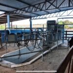 Fazenda à Venda em Silvânia/GO WhatsApp Image 2025 11 13 At 13.10.08 2 150x150