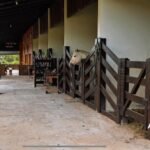 Fazenda à Venda em Silvânia/GO WhatsApp Image 2025 11 13 At 13.10.09 150x150